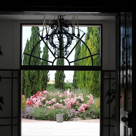 Casa Freda Bed & Breakfast Foggia Exterior photo